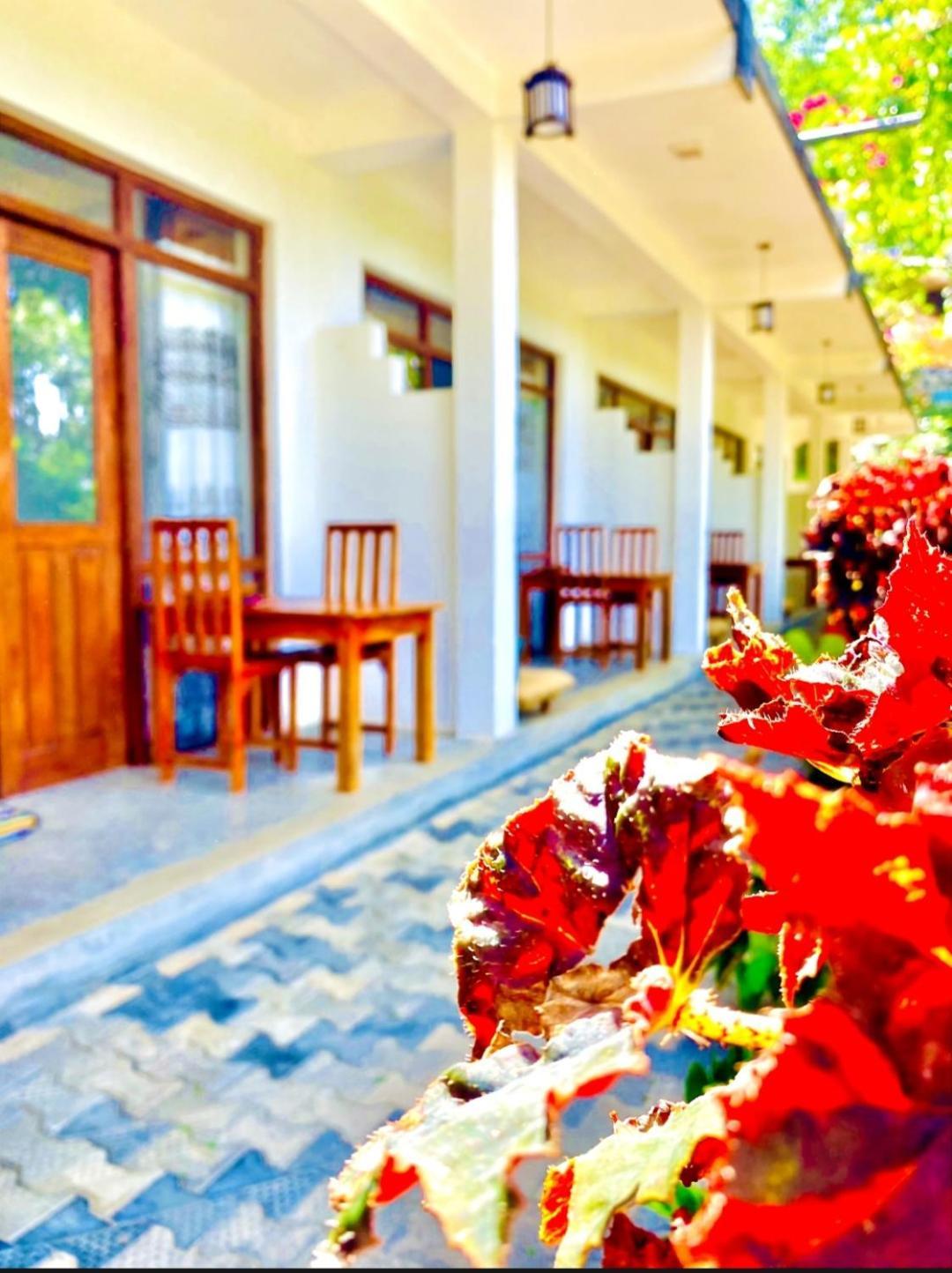 Hotel Blissful Haven à Ella Extérieur photo