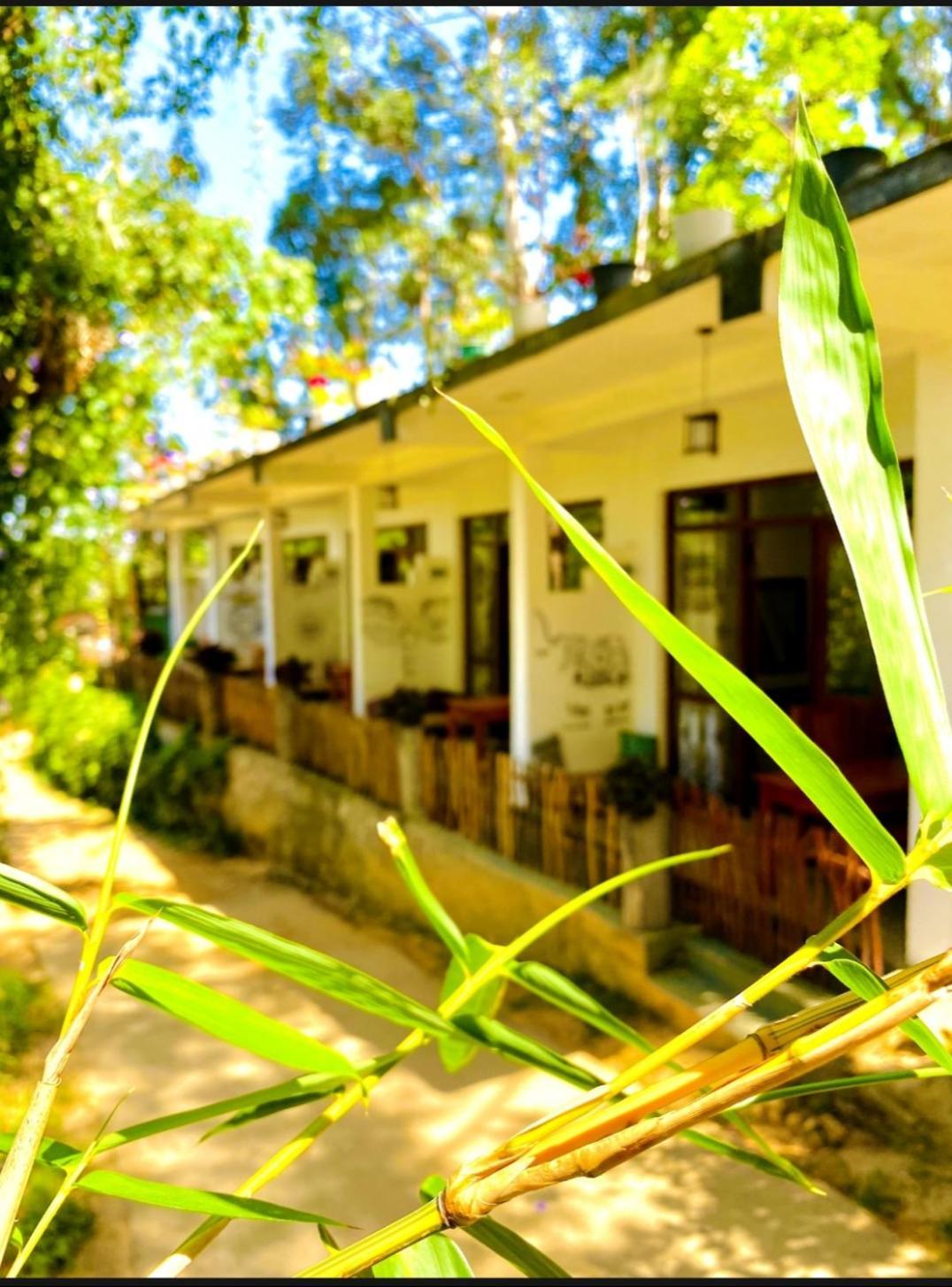 Hotel Blissful Haven à Ella Extérieur photo