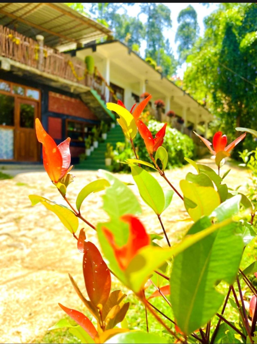 Hotel Blissful Haven à Ella Extérieur photo