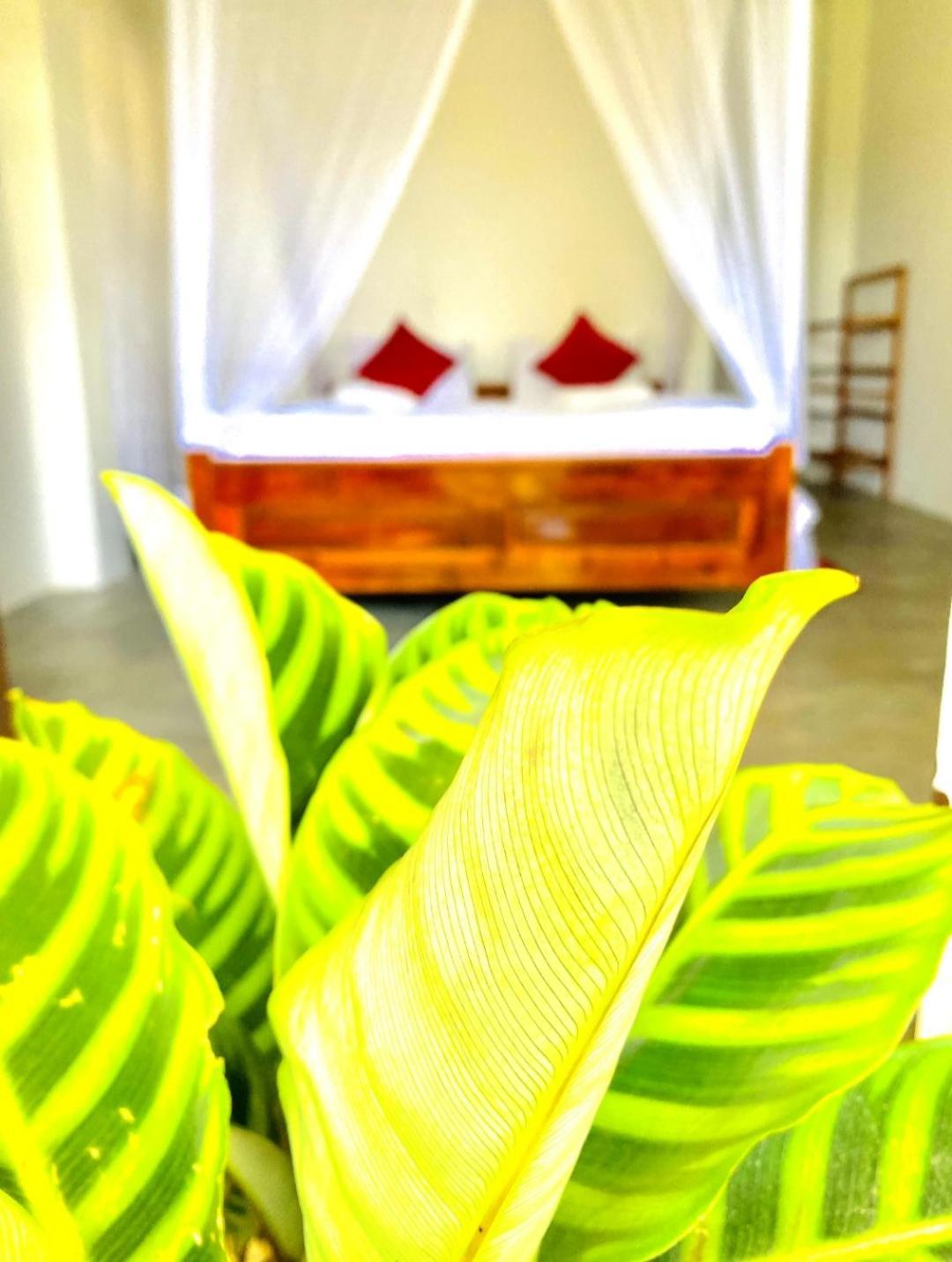Hotel Blissful Haven à Ella Extérieur photo